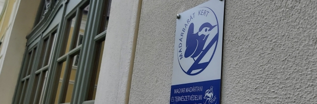 Örömzene természetesen