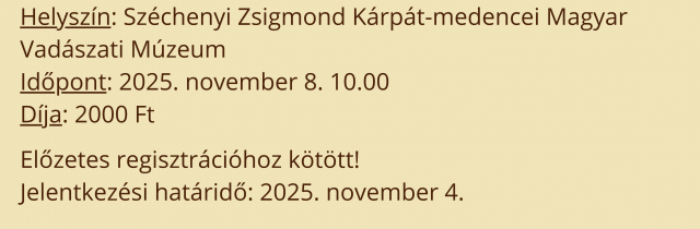 Készítsd el! - Ruha készítő workshop