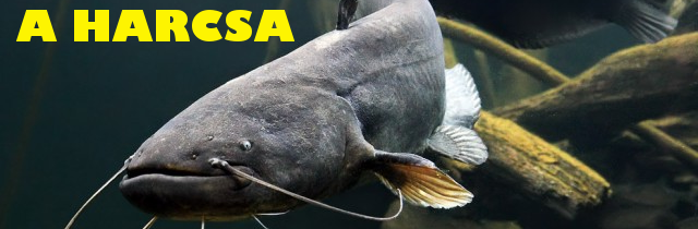 Családi Miniműhely