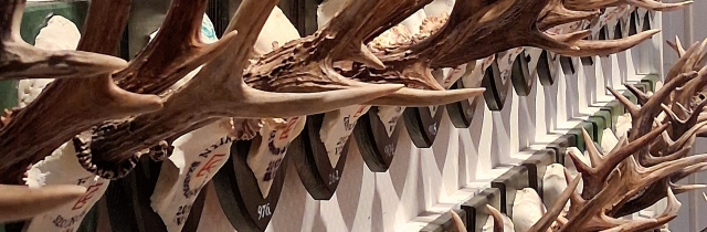Trophy room